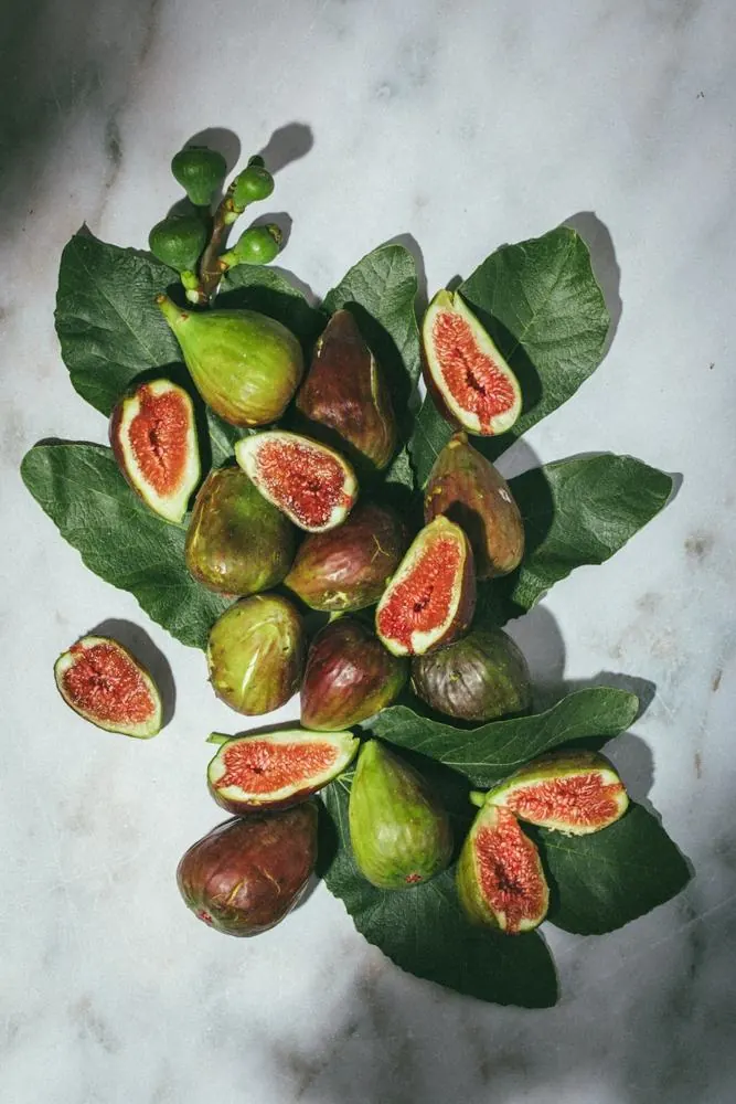 Fig bruschetta